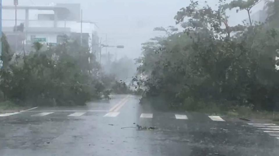 中央氣象局指出，颱風海葵3日下午登陸台東東河，台東地區風強雨驟，更出現16級強陣風，不少路樹、商家招牌等遭強風吹落，街道一片狼藉。（中央社）