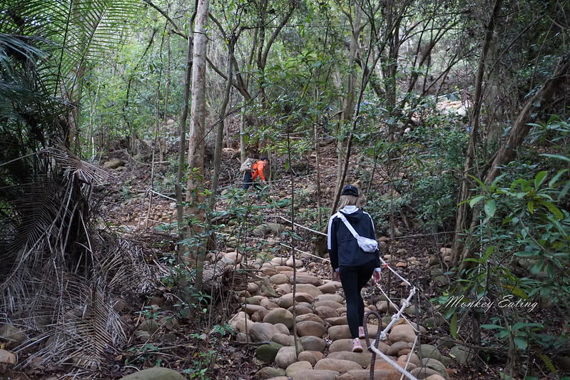 苗栗三義｜火炎山登山步道