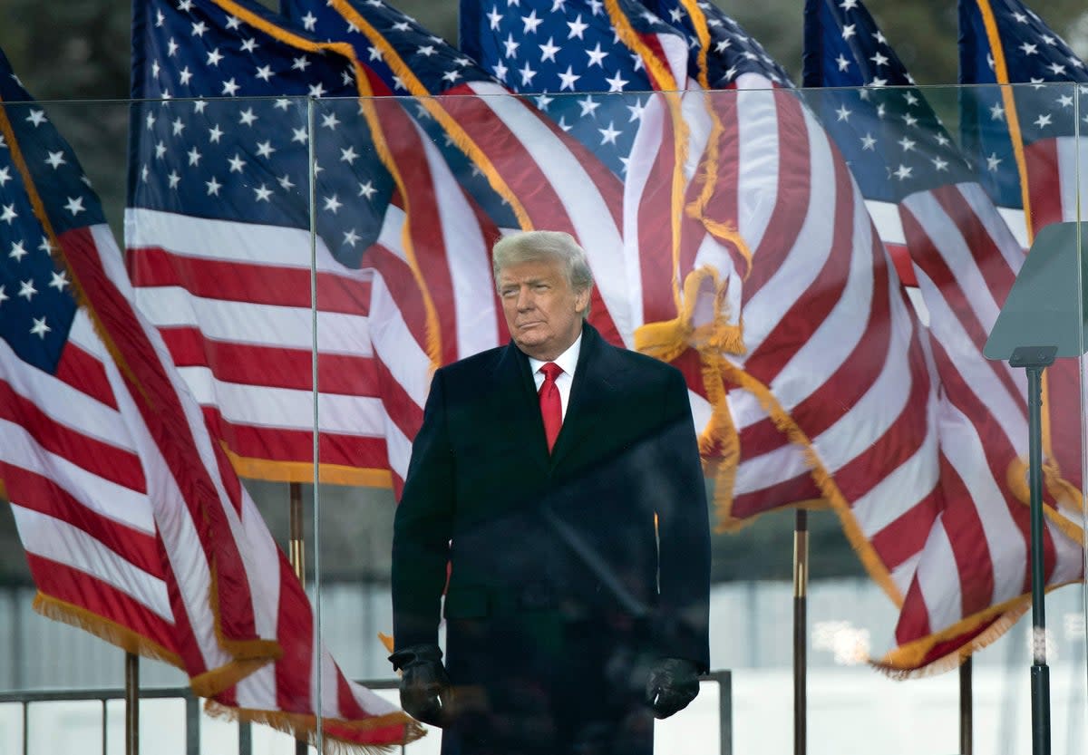 Donald Trump, speaking to a crowd of his supporters on 6 January, 2021 in Washington DC, before a mob stormed the halls of Congerss.  (AFP via Getty Images)