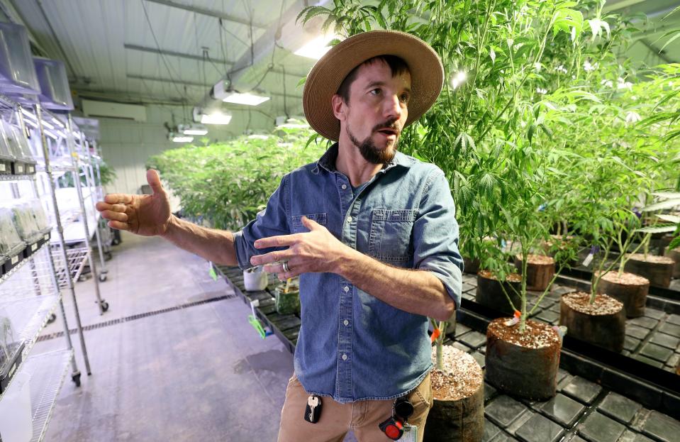 Cody Henderson, Dragonfly Wellness Grow Facility director of cultivation, talks about the different stages of growing cannabis plants at the Dragonfly Wellness Grow Facility in Moroni on Friday, April 28, 2023. | Kristin Murphy, Deseret News