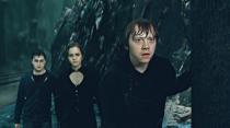 <p>Bereits der erste Teil des letzten “Harry Potter”-Abenteuers konnte international knapp eine Milliarde Dollar einspielen. Die Fortsetzung toppte das noch um ein paar Millionen: 1,342 Milliarden US-Dollar brachten Harry, Hermine und Ron in die Lichtspielhäuser dieser Welt. </p>