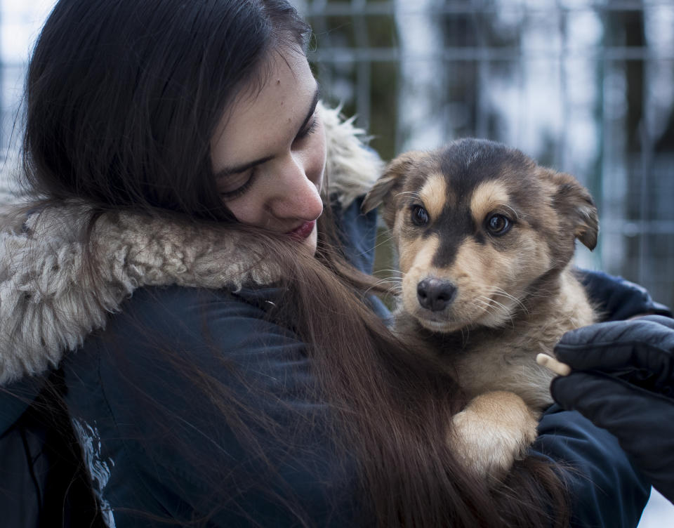 In this photo taken on Friday, Feb. 1, 2019, a potential pet owner looks at a stray dog at a shelter in Vilnius, Lithuania. A group of animal enthusiasts in Lithuania have created the GetPet mobile app inspired by the popular dating app Tinder, to match up dogs in local shelters with potential new owners.(AP Photo/Mindaugas Kulbis)