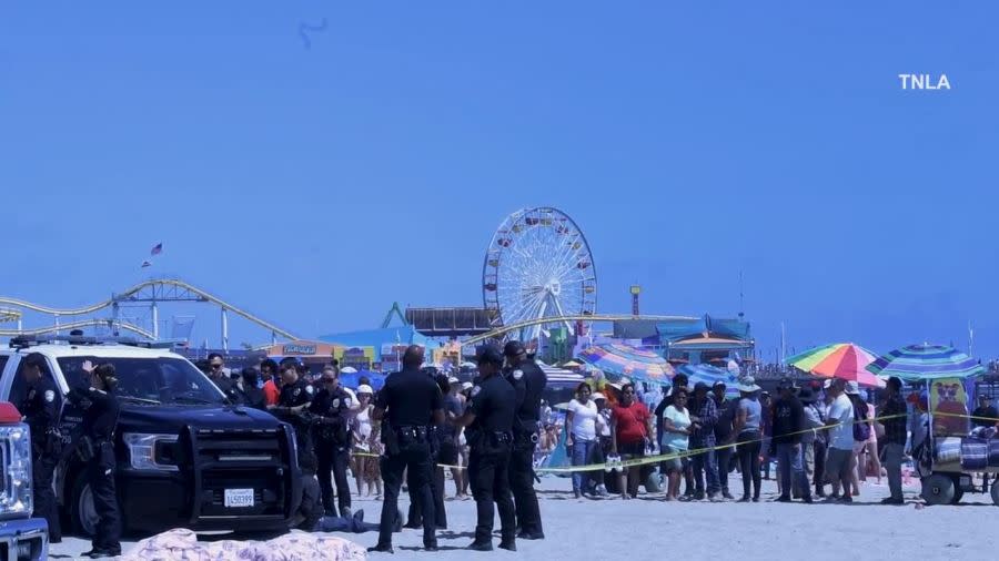 One person was stabbed and another injured after a large brawl broke out on the beach near the Santa Monica Pier on June 29, 2024. (TNLA)