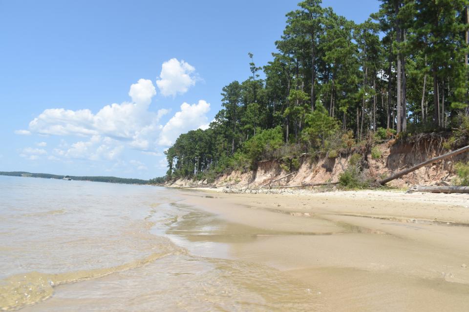 South Toledo Bend State Park is located on the Toledo Bend Reservoir in Sabine Parish, Louisiana.