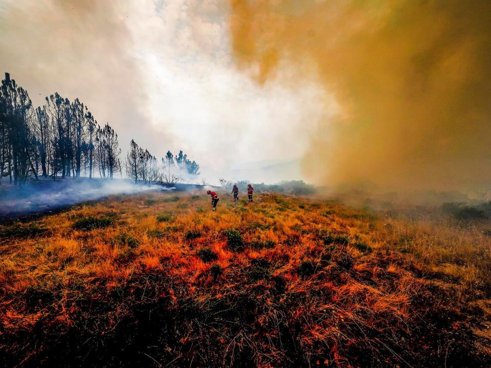  (EPA/Hugo Delgado)