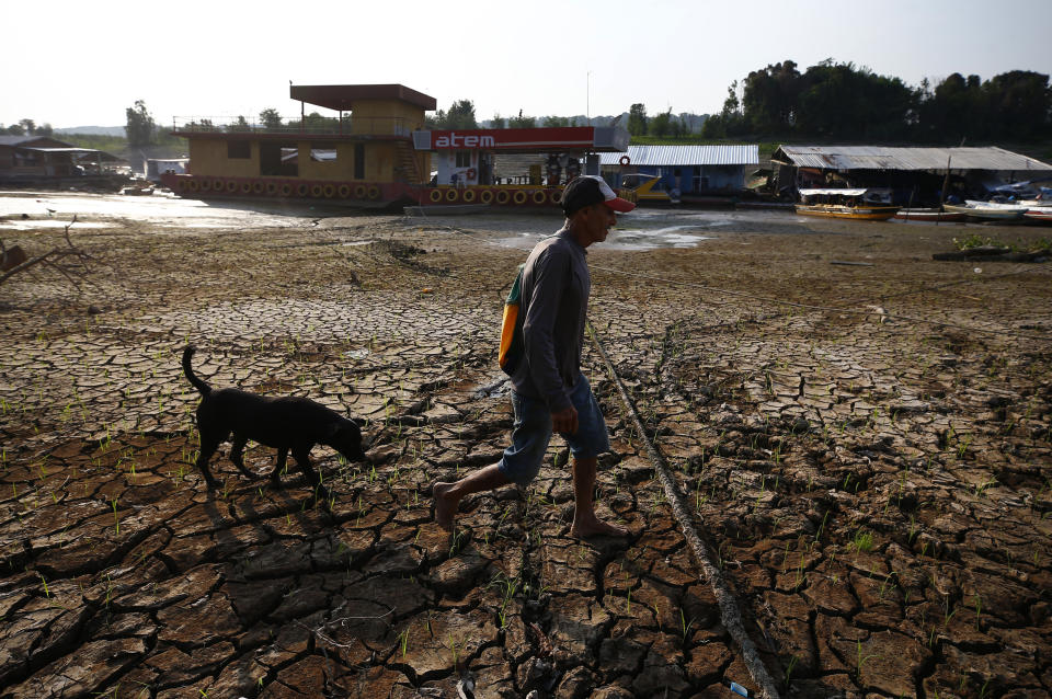 Joaquim Mendes da Silva, de 73 años, camina con su perro sobre el lecho seco del lago Puraquequara en medio de una sequía, el 5 de octubre de 2023, en Manaos, estado de Amazonas, Brasil. (AP Foto/Edmar Barros, archivo)