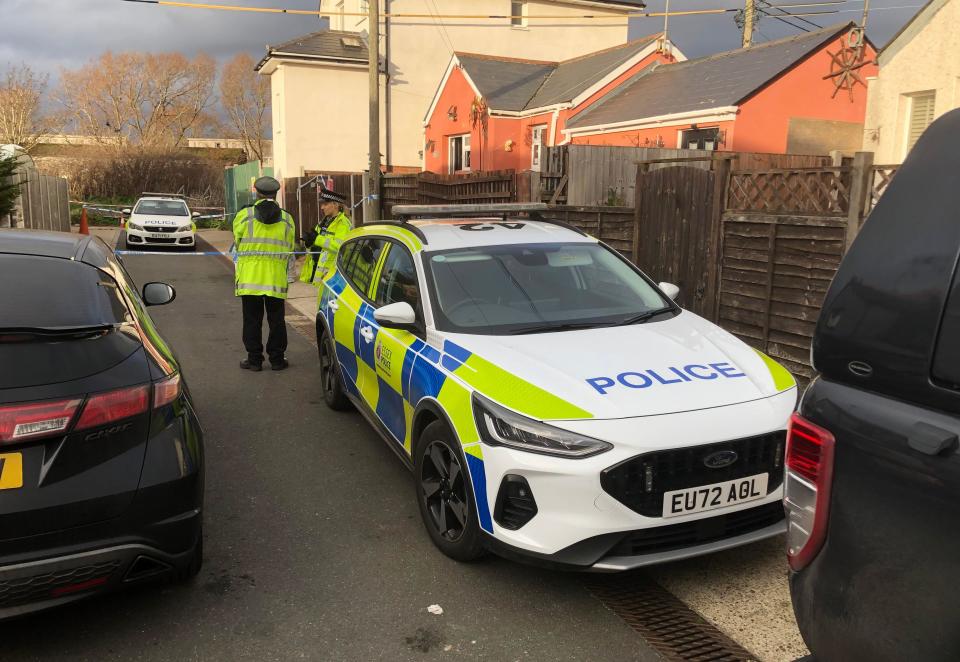 The police cordon in Hillman Avenue, Jaywick, Essex, after a 68-year-old grandmother was savaged to death by two dogs. Essex Police said Esther Martin, from Woodford Green in London, was attacked at a property in Hillman Avenue in Jaywick on Saturday afternoon. Picture date: Sunday February 4, 2024.