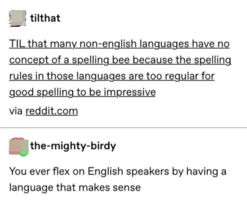 someone saying that many non-english languages don't have a spelling bee because the spelling rules in those languages are too regular for good spelling to be impressive