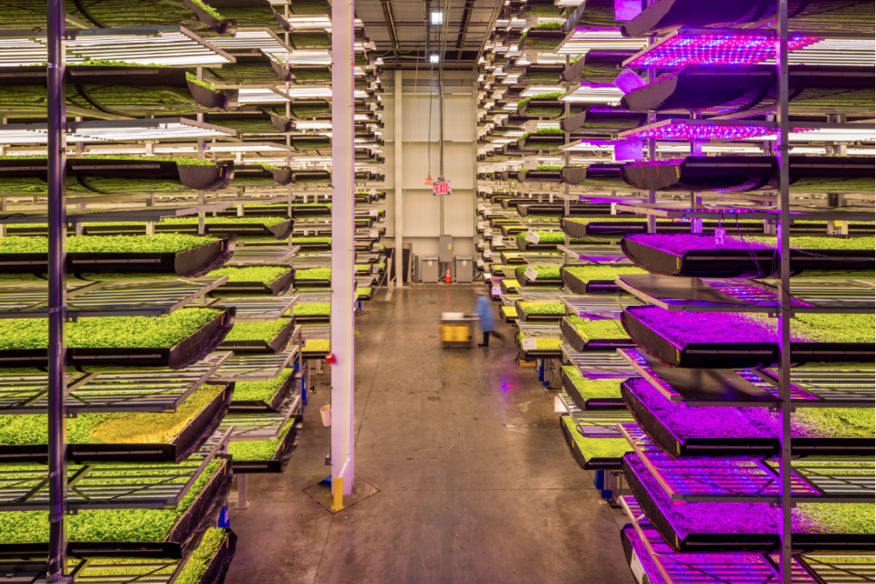 AeroFarms' facility in Newark