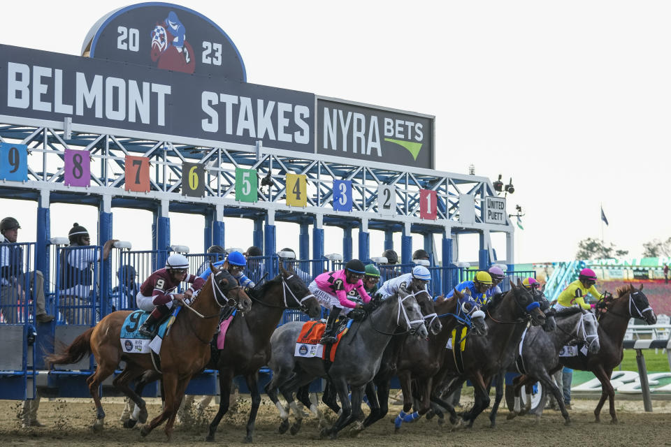 The field breaks from the starting gate in the 155th running of the Belmont Stakes horse race, Saturday, June 10, 2023, at Belmont Park in Elmont, N.Y. (AP Photo/Mary Altaffer)