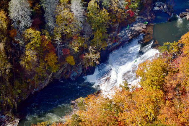 emTallulah Gorge State Park. Courtesy of Alexa Lampasona./em