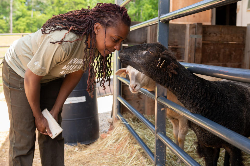Keisha Cameron checks on her sheep at her farm in Grayson, Georgia. (Photo: Lynsey Weatherspoon for HuffPost)