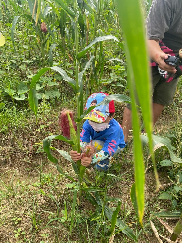 孩子們下田玩玉米筍創意。（記者張淑娟攝）