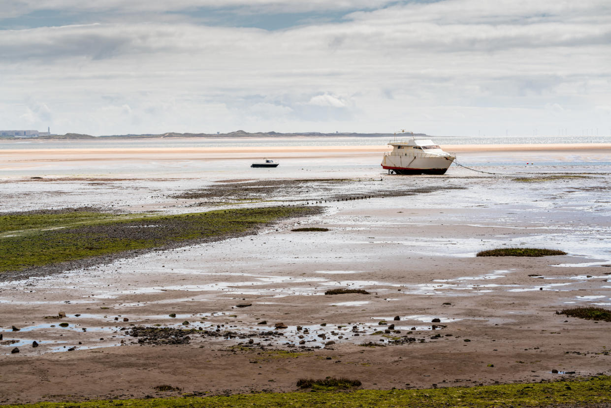 Bring your pets to Haverigg Beach. (Getty Images)