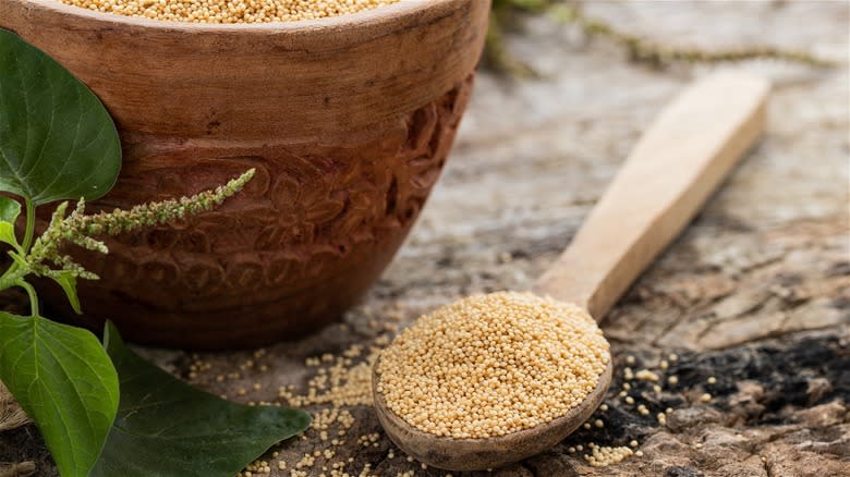 Amaranth grains in spoon