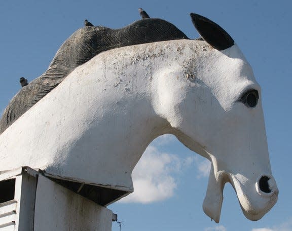 The Bronco Swap Meet is an iconic institution in El Paso's Lower Valley with its giant horse head.