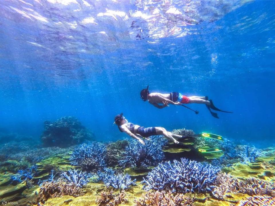 到澎湖浮潛，是喜愛水下世界的旅客絕不能錯過的體驗。圖／Klook提供