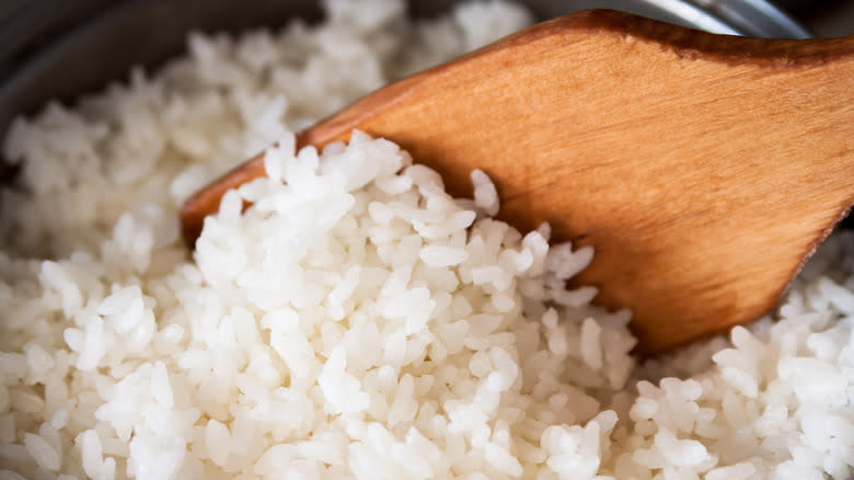 Spoonful of cooked rice