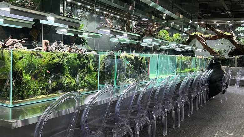 Aquagarden Cafe & Aquarium interior