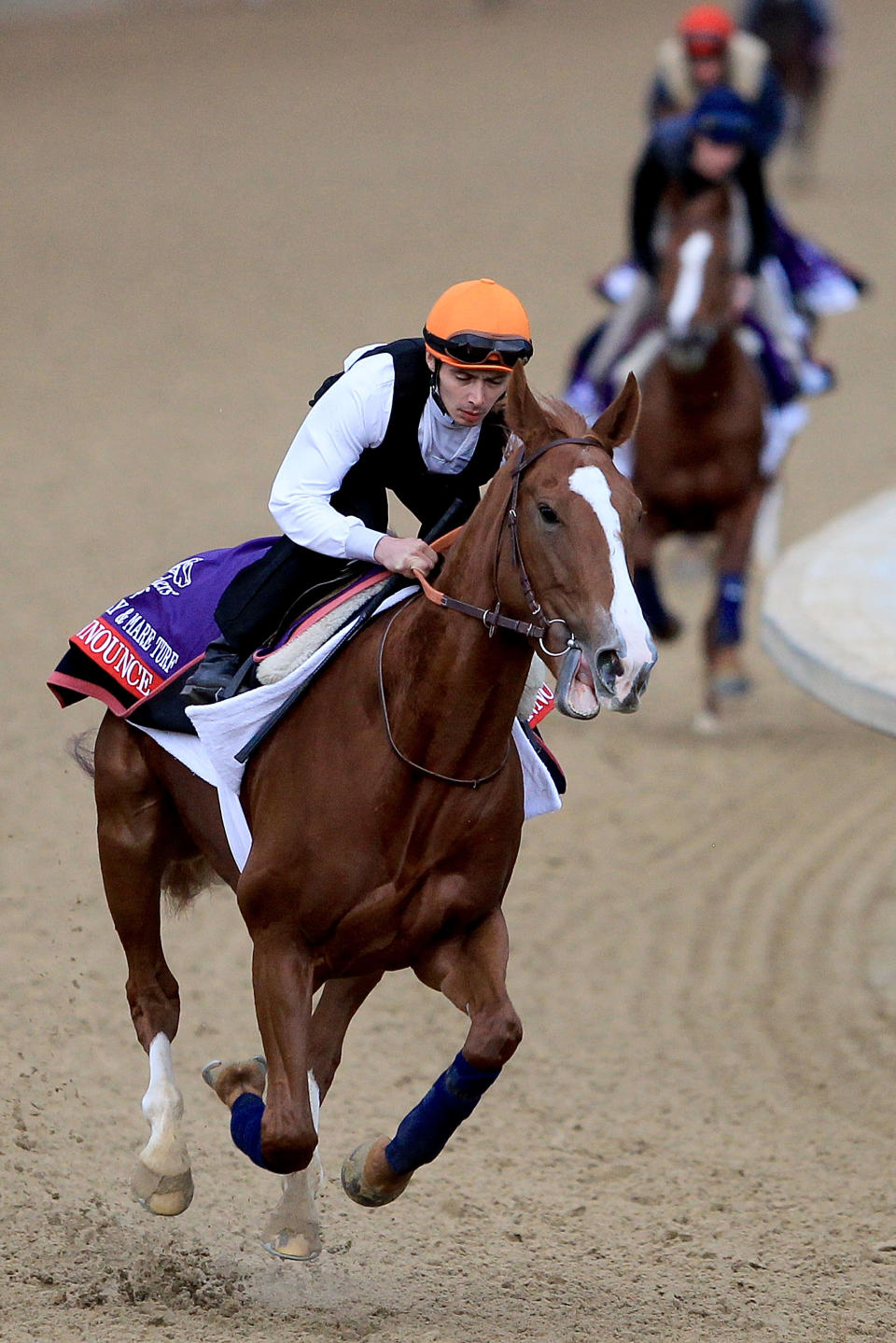 2011 Breeders' Cup World Championships