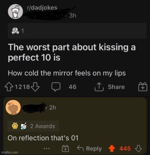 text reading the worst part about kissing a perfect 10 is how cold the mirrrorr feels on my lips and someone responds on reflection that's 01