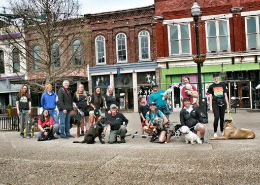 Dogs and their owners participate in the "Pack Walk" hosted by local dog training business North Star K9 Training on March 25.