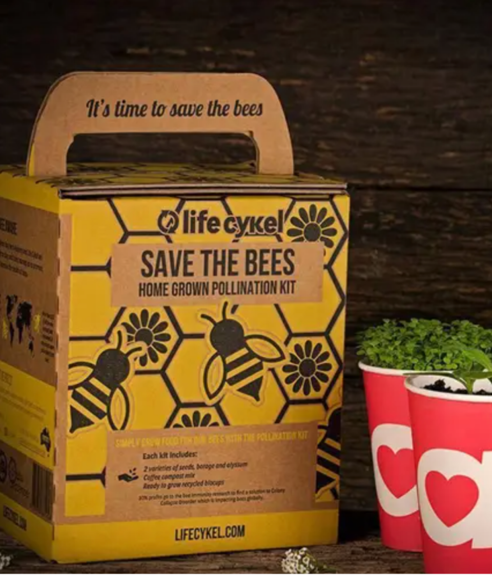 Save The Bees Home Grown Pollination Plant Kit from Kogan