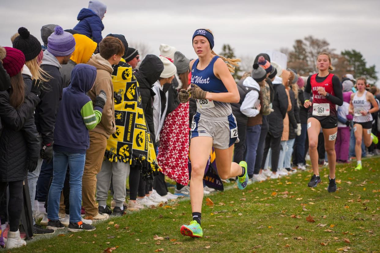 Noelle Steines of Calamus-Wheatland leads the 1A girls state cross country championship race in Ft. Dodge, Friday, Oct. 27, 2023.