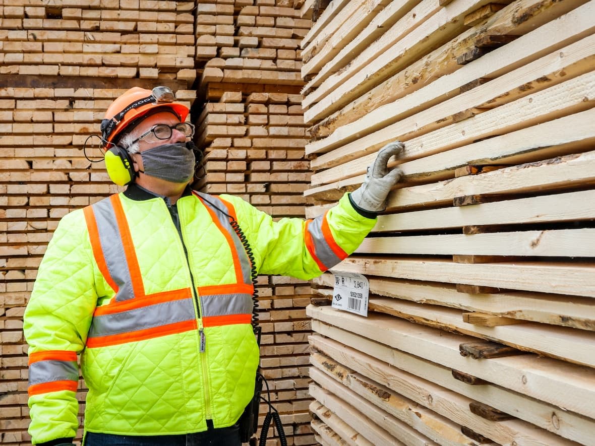 Canada exports about $1.2 billion worth of softwood lumber to the U.S. every year. The U.S. is hiking the amount of duty to as much as double the previous rate. (Jeff McIntosh/The Canadian Press - image credit)
