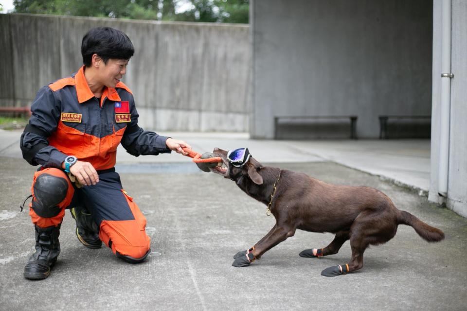 全國十大傑出女青年出爐　新北特搜領犬員羅浩芳「穿梭斷垣殘壁」獲肯定 227