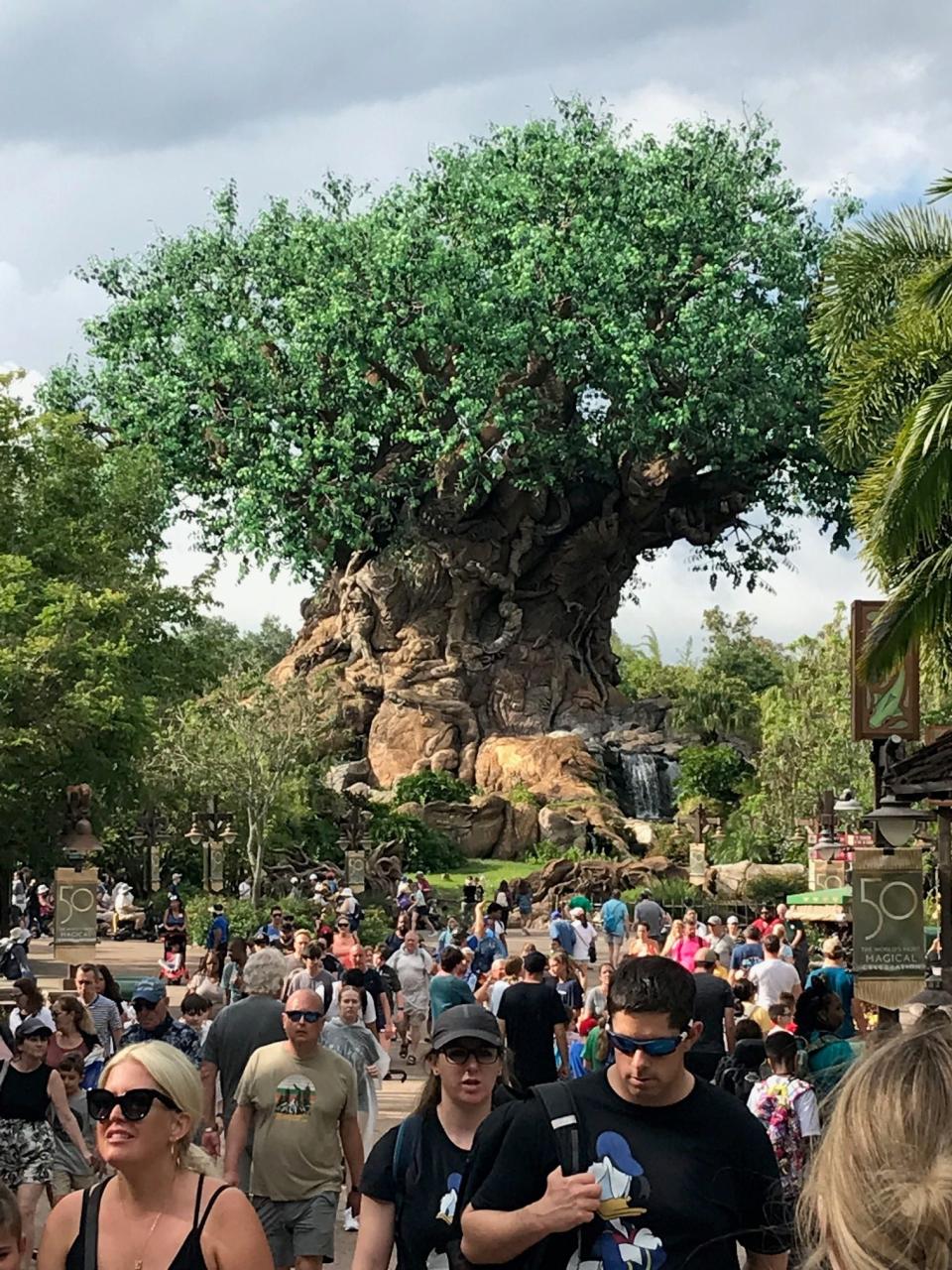 Parkgoers are pictured near the Tree of Life at Walt Disney World's Animal Kingdom on April 15, 2022.