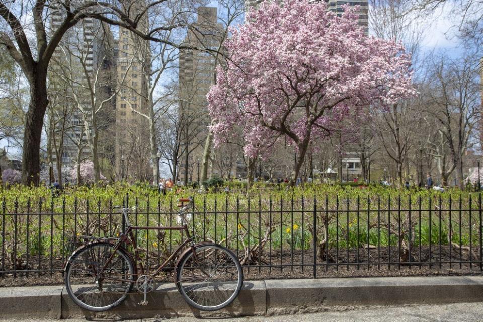 Catch the blossoms in Rittenhouse Square on your ride
