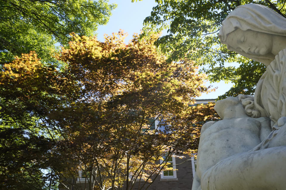 A tree with yellow and brown leaves, center, stands near a statue Thursday, Sept. 8, 2022, in Concord, Mass. This summer's drought is expected to cause a patchy array of fall color in the leaf-peeping haven of New England. Experts predict that it will be more spread out this year with some trees changing earlier or even browning and dropping leaves because of the drought. (AP Photo/Steven Senne)