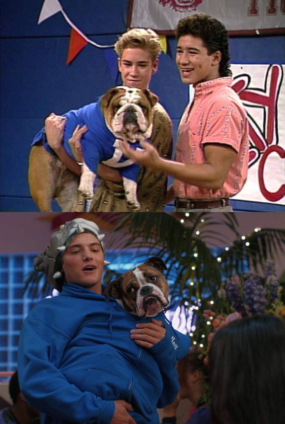 Zack and Slater kidnapped Valley's mascot and Mac does the same on "Saved by the Bell"