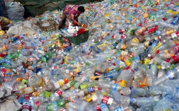 People sort plastic bottles for recycling at a reclamation depot on in Qingdao - Hong Wu /Getty Images AsiaPac 