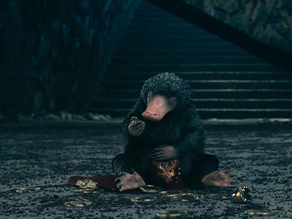 teddy the niffler, a small platypus-esque character sitting on the ground surrounded by jewels and rings