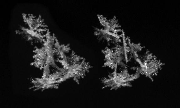 Using a two-camera system, the researchers can capture images in stereo. Even without special tools, if you look at the center of the image and unfocus your eyes, the two images merge into one, creating the illusion of a three dimensional ice c