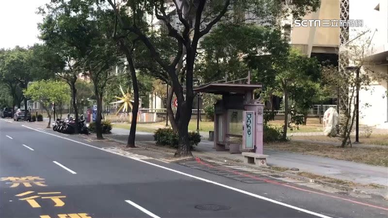 台南有公車站難停靠，有2棵路樹前後有紅線與停車格。