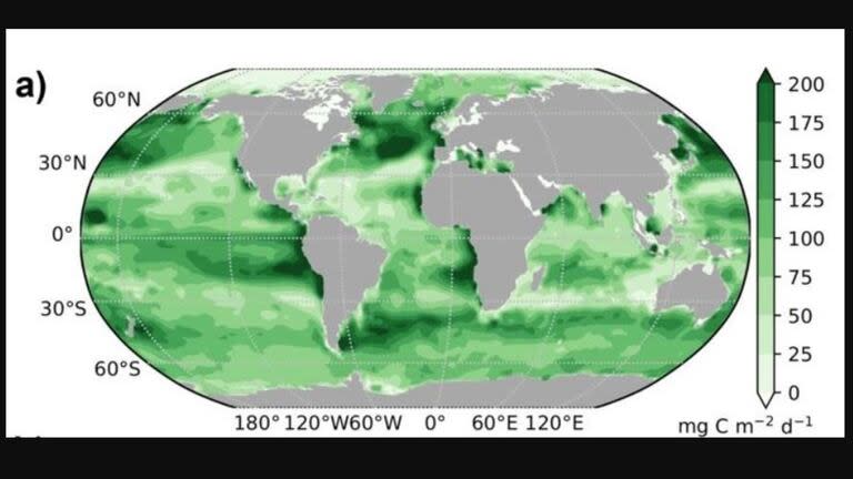 Distribución del flujo de carbono orgánico desde la capa superficial del océano abierto