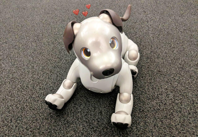 Sony Aibo review: Just get a puppy | Engadget