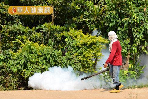 台灣皮膚科醫學會呼籲民眾，消除病媒蚊孳生，化學用藥可預防登革熱疫情。