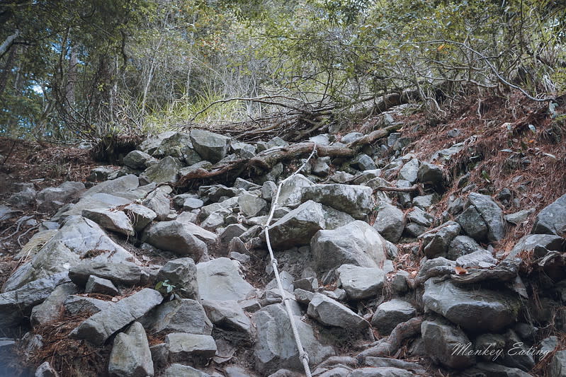 谷關七雄｜波津加山