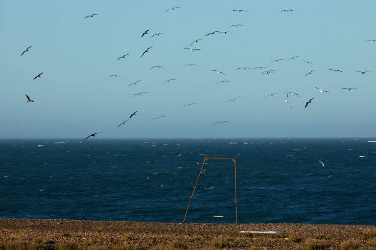 Acá se puede disfrutar de una conexión directa y profunda con el mar y una playa salvaje