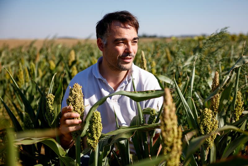 El agricultor francés Eudes Coutté en un campo de sorgo cerca de Saint-Escobille