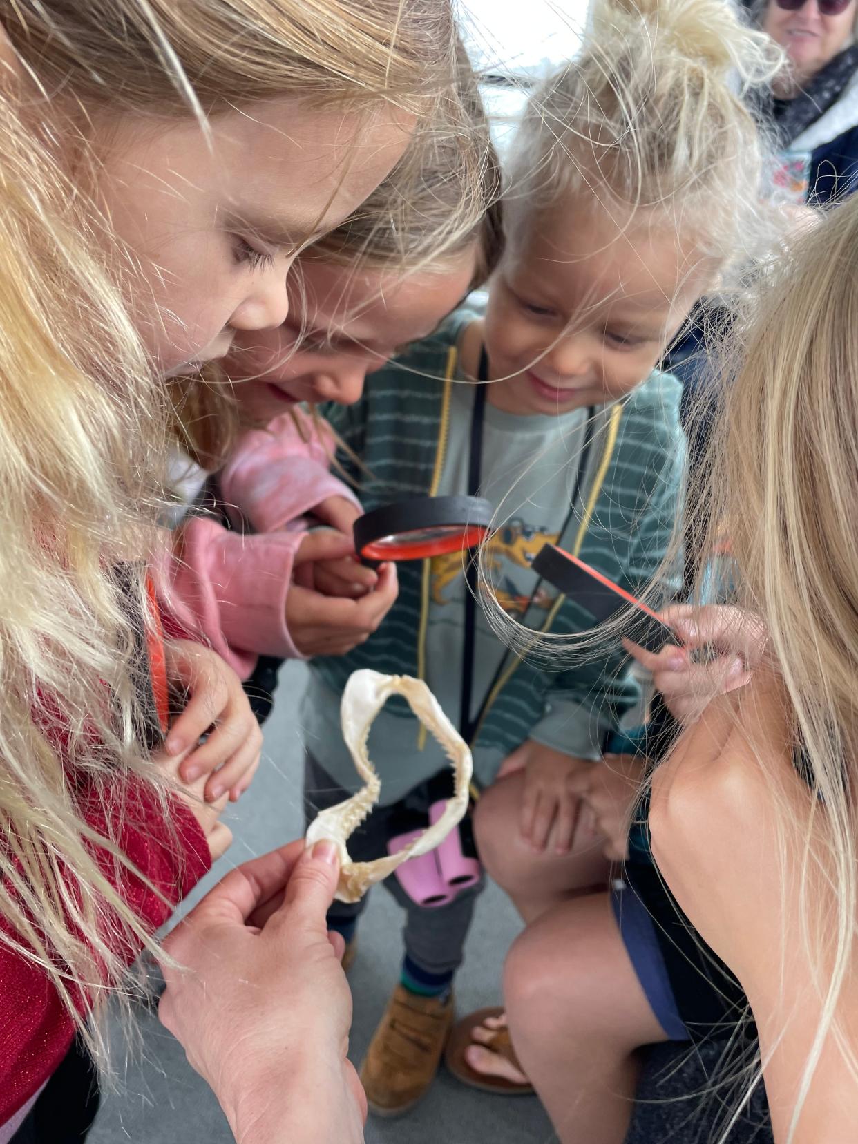 Students on a Florida Water Warriors marine education field trip out of St. Augustine examine a shark jaw.