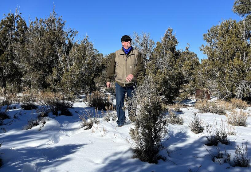 Lincoln County Commissioner Varlin Bigbee is walking through dense pinyon-juniper woodlands that may be harvested as feedstock to make methanol, an additive used to reduce greenhouse gas emissions of container ships calling at Los Angeles ports.