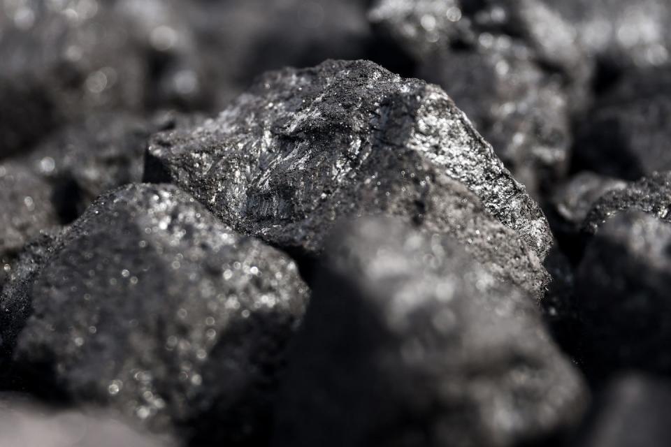 queue for coal in poland