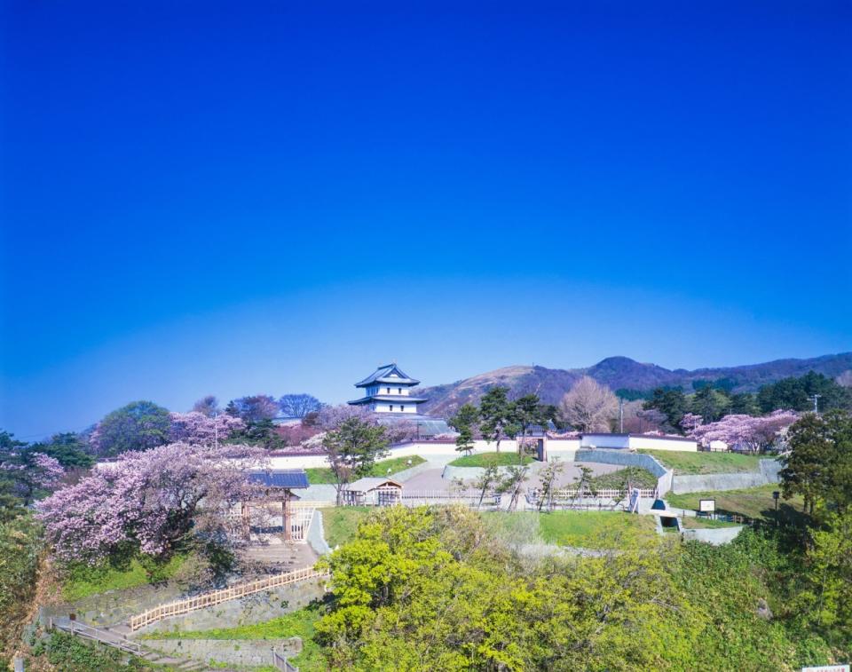 日本櫻花2024｜北海道賞櫻5大好去處！五稜郭公園粉紅五角星形城廓/心形絕景天狗櫻/7km櫻花大道+櫻花祭典