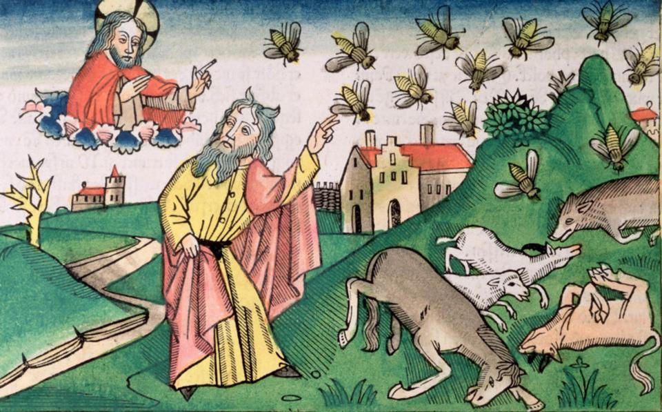 A copy of a 15th century German manuscript depicting the plague of insects. | Historica Graphica Collection/Heritage Images—Getty Images