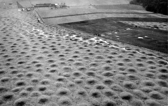 Mima mounds in California's Central Valley.